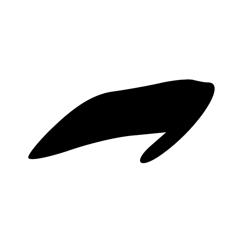 Signe n° 8807