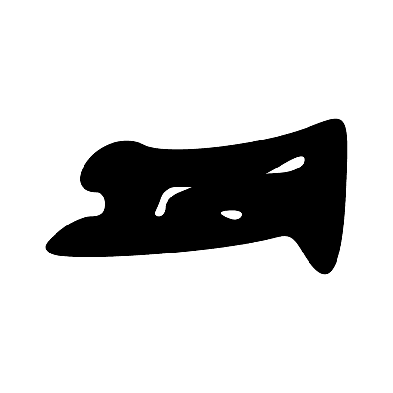 N37 — Bassin