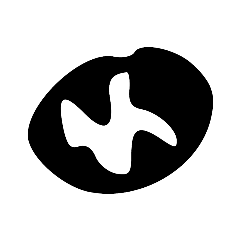 O49 — Plan de ville