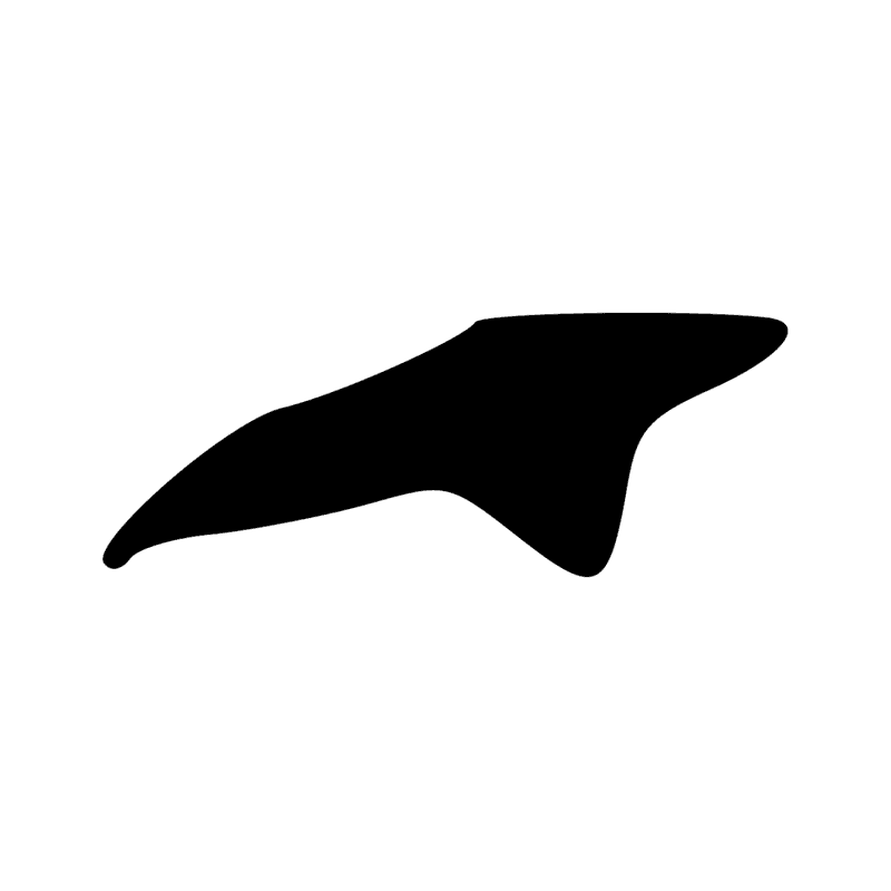 Signe n° 9031
