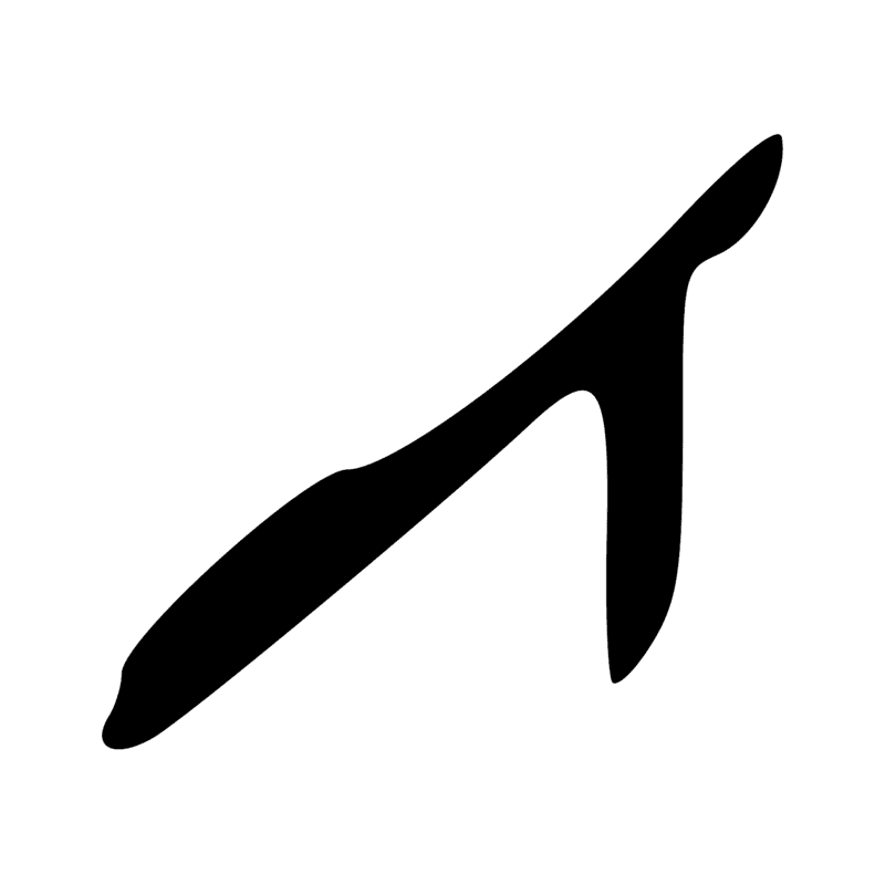P10 — Aviron de gouverne