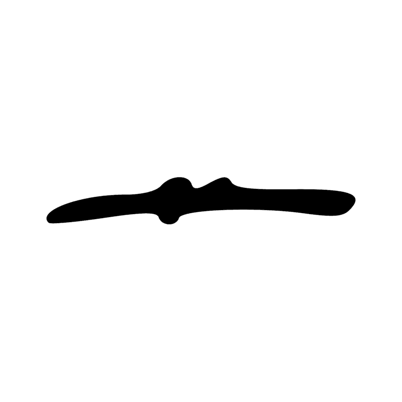 Signe n° 919