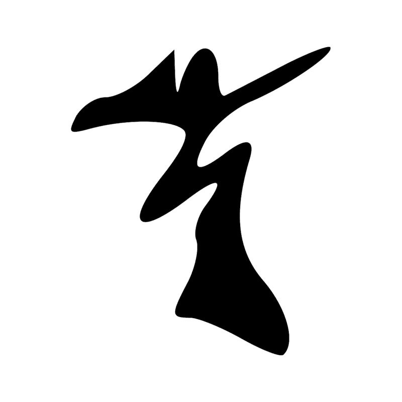 V29 — Balai de fibres