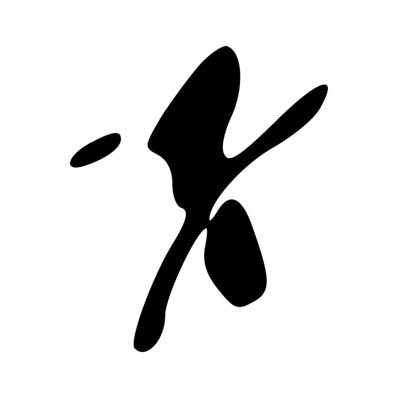 V29 — Balai de fibres