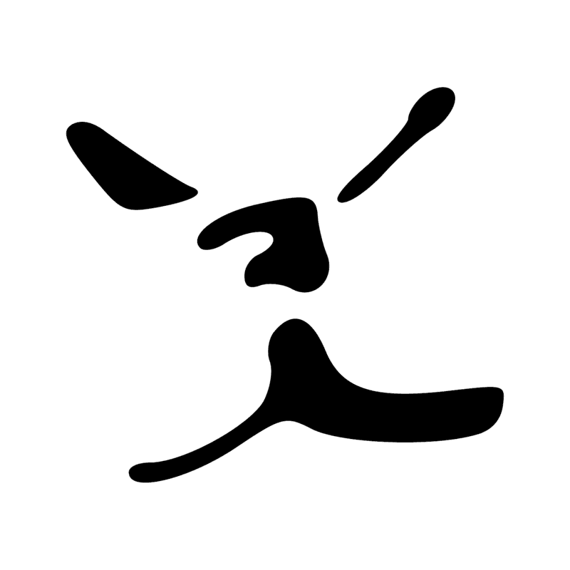 V29 — Balai de fibres