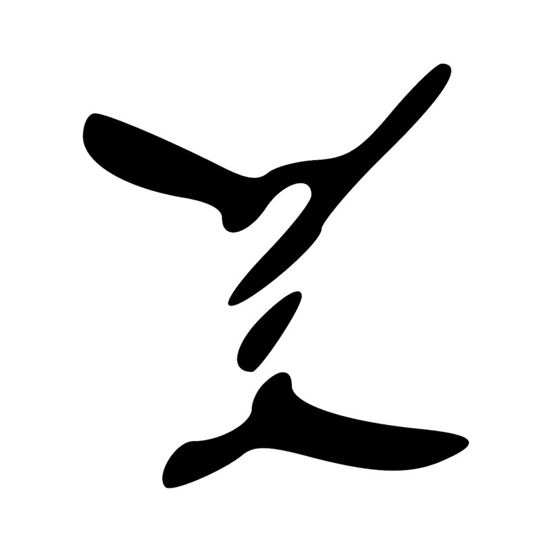 V29 — Balai de fibres