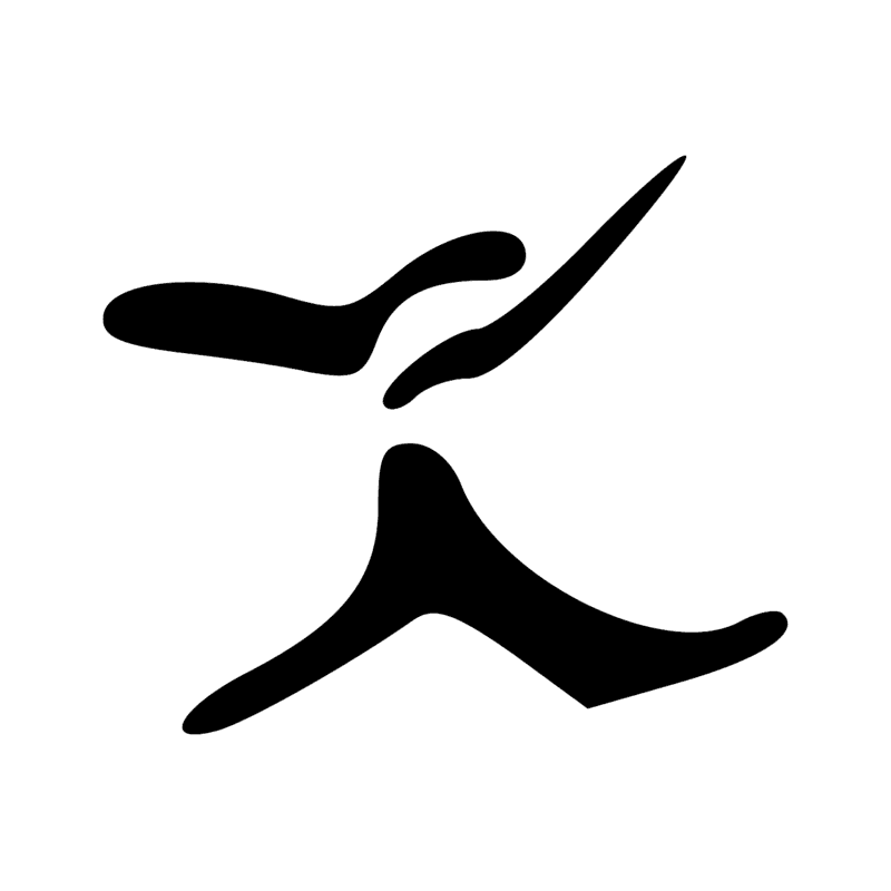V29 — Balai de fibres