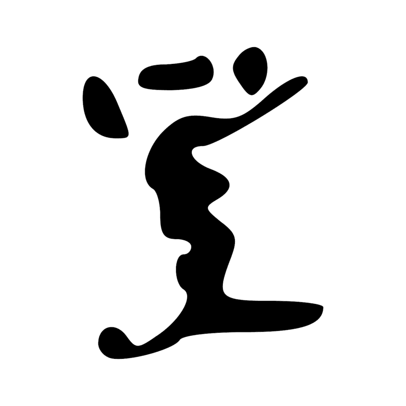 V29 — Balai de fibres