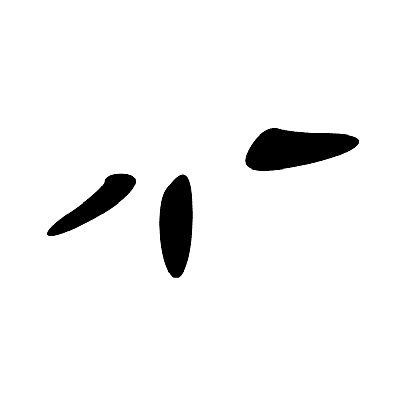 S23 — Morceaux d'étoffes noués ensemble