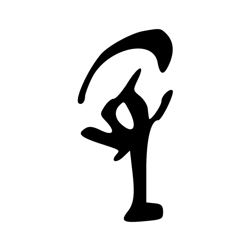 V29 — Balai de fibres