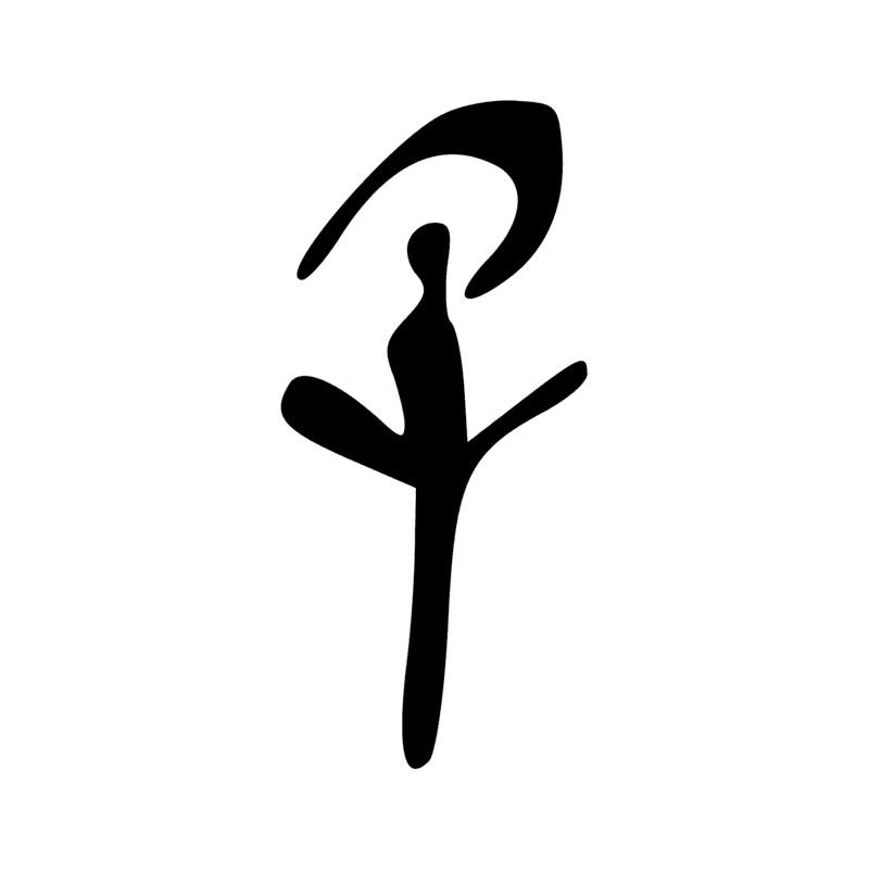 V29 — Balai de fibres