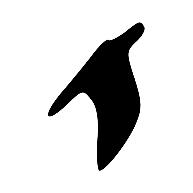 S29 — Vêtement plié