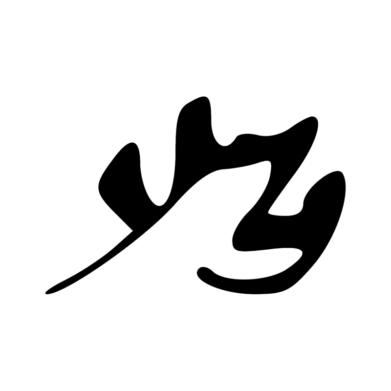 T12 — Corde d'arc