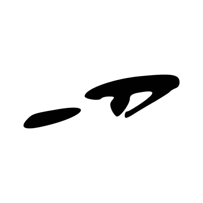 T11 — Flèche