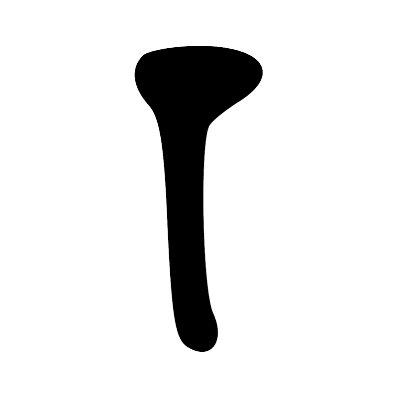 S39 — Houlette
