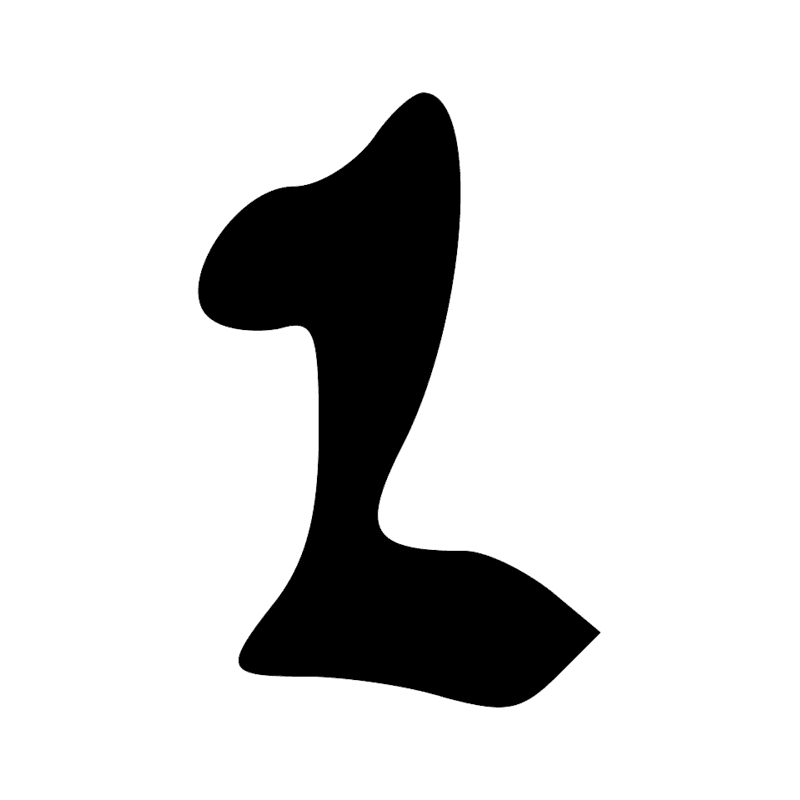 S43 — Bâton de marche