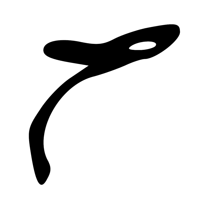 V22 — Fouet