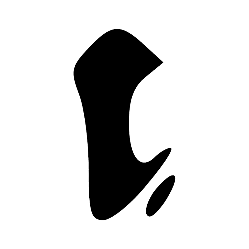 T19 — Tête de harpon en os