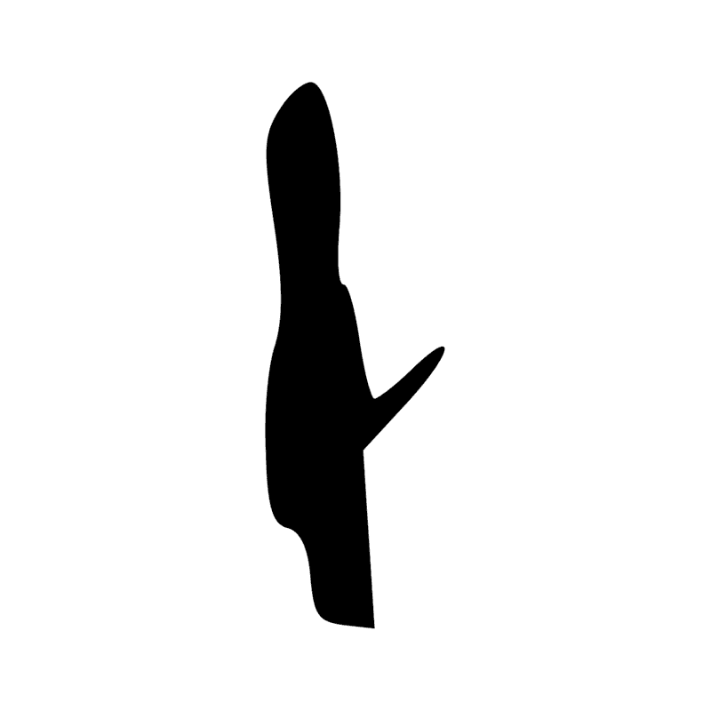Signe n° 9851