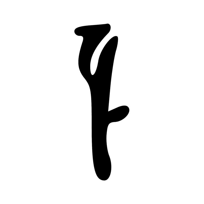 Signe n° 9919