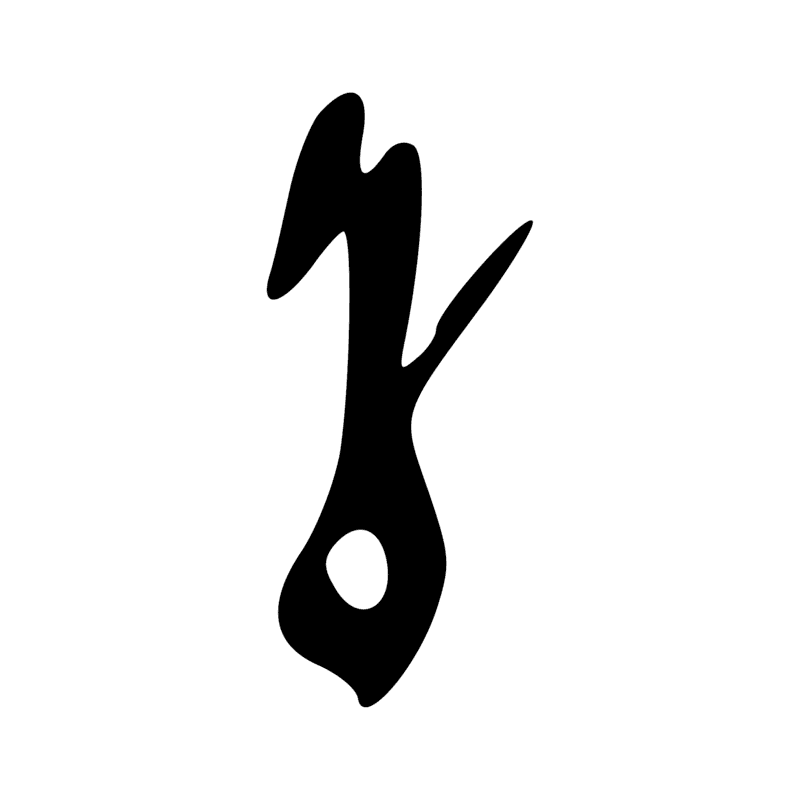S43 — Bâton de marche