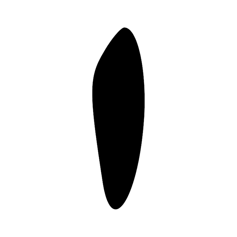 Z1 — Trait