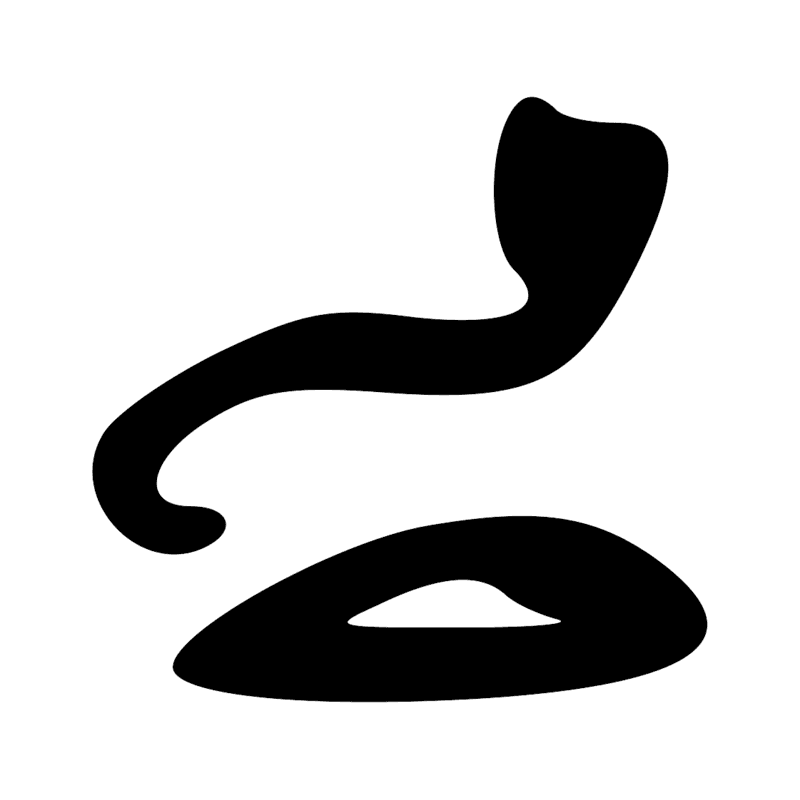 I9 D21