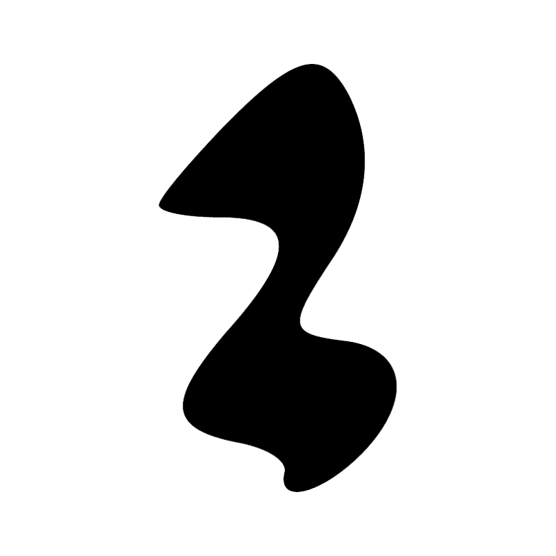 D21 X1