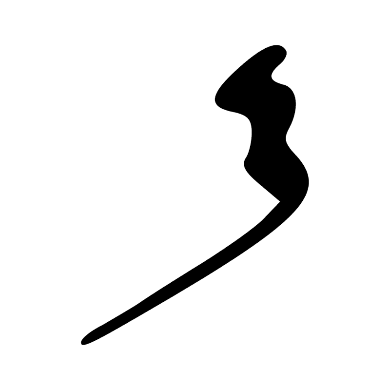 X1 D21