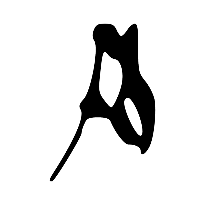 T12 — Corde d'arc