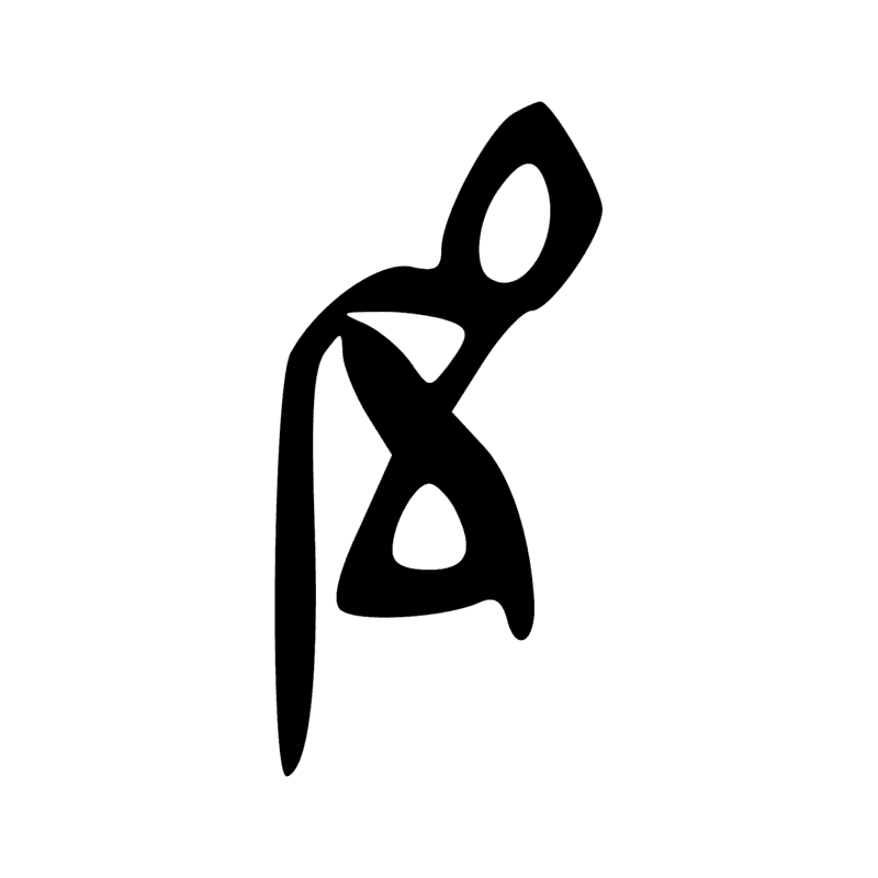 T12 — Corde d'arc