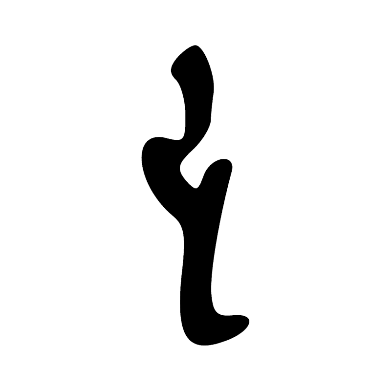 S43 — Bâton de marche