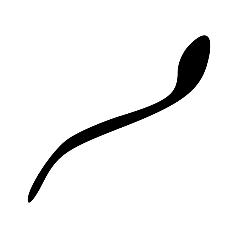 Z5 — Trait oblique