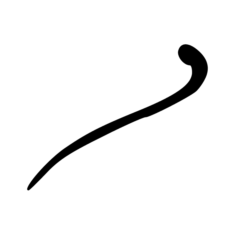 V1 — Corde lovée