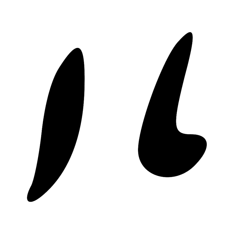 D21 Z7