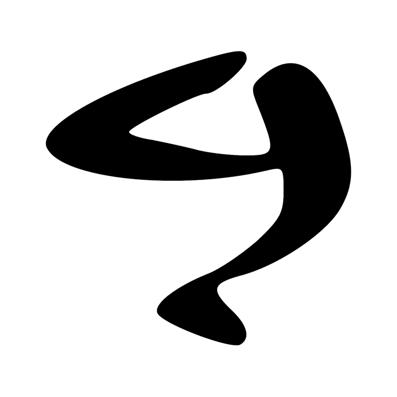 D21 X1
