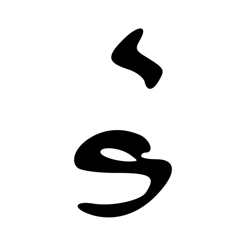 X1 D21