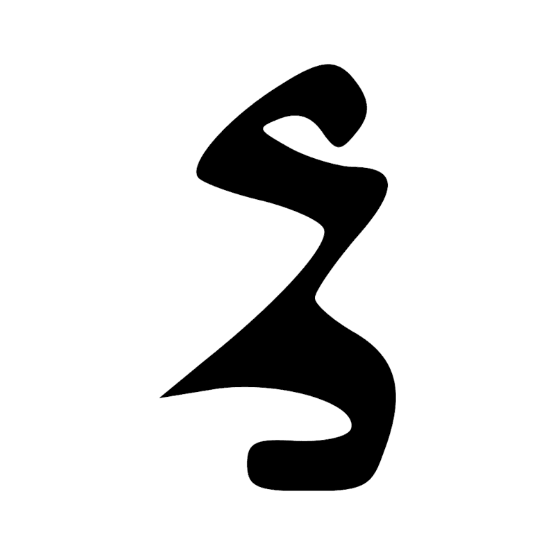 X1 D21