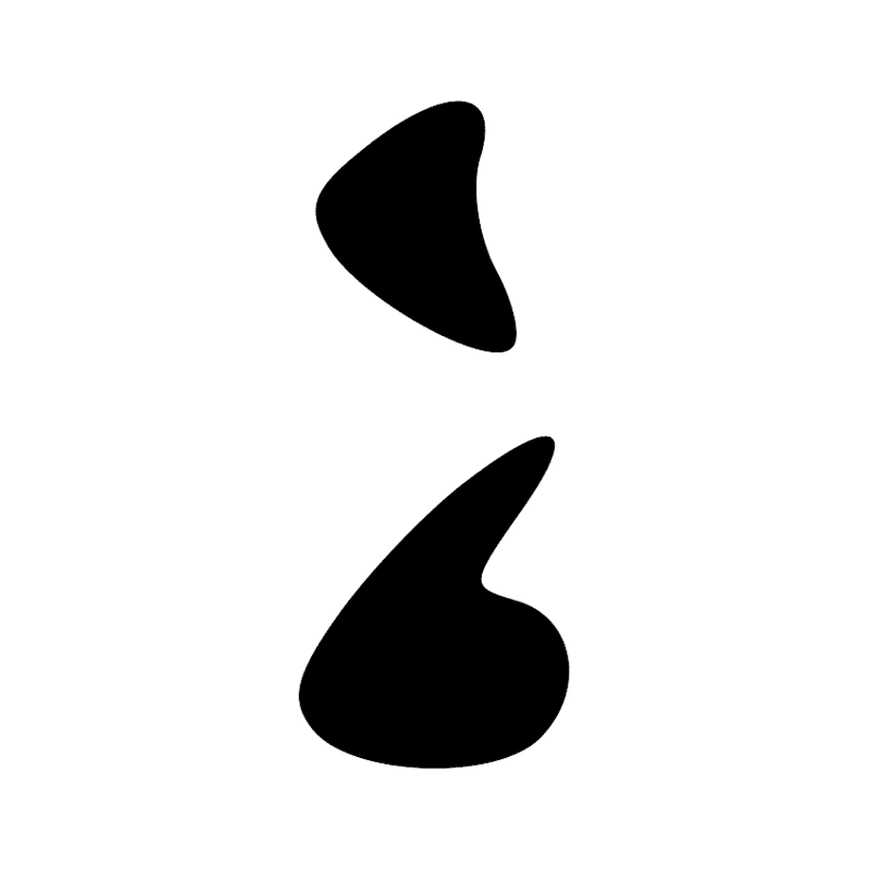 X1 D21