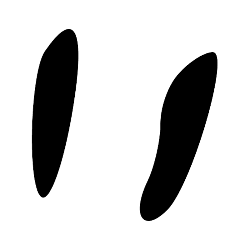 X1 X1