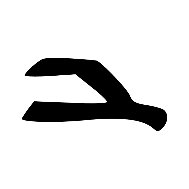 Aa13 — Côte d'animal