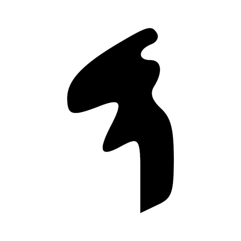 D2 — Tête de face