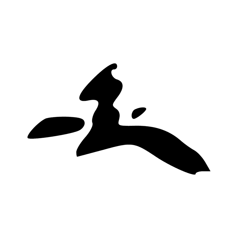 F29 — Peau de bovin percée