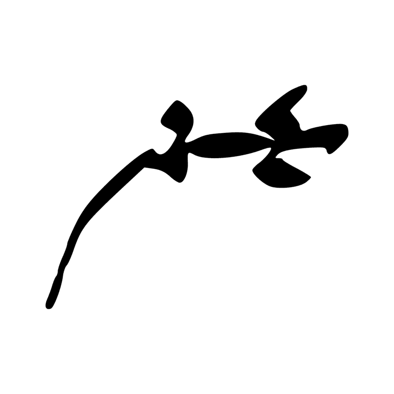 I1 — Gecko