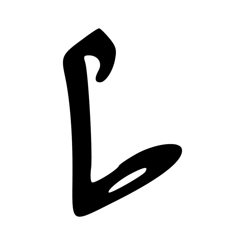 M12 — Plan de lotus