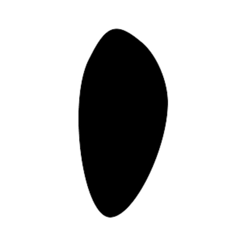 N5 — Disque solaire
