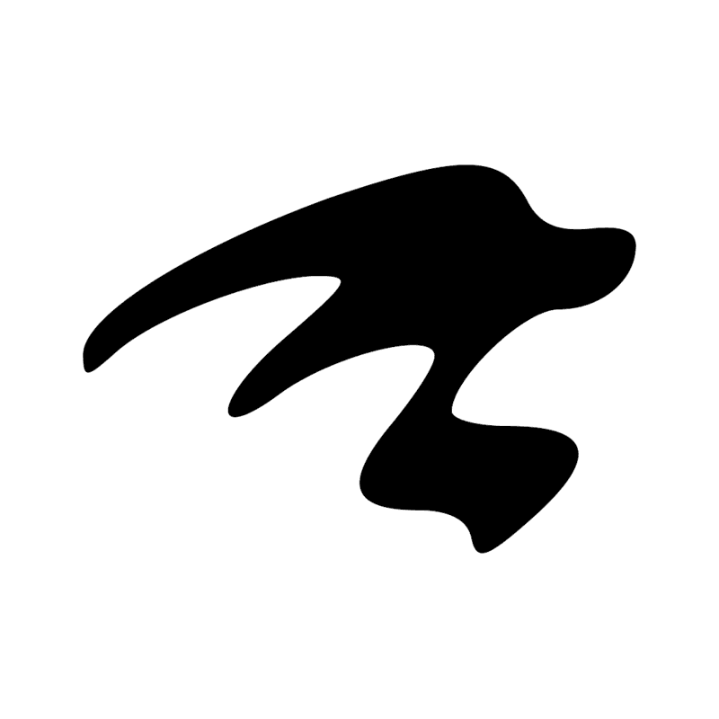 I6 — Morceau de crocodile avec ses écailles