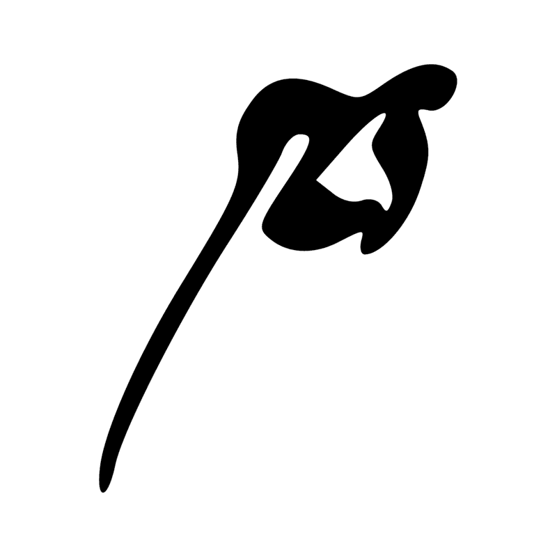 T12 — Corde d'arc