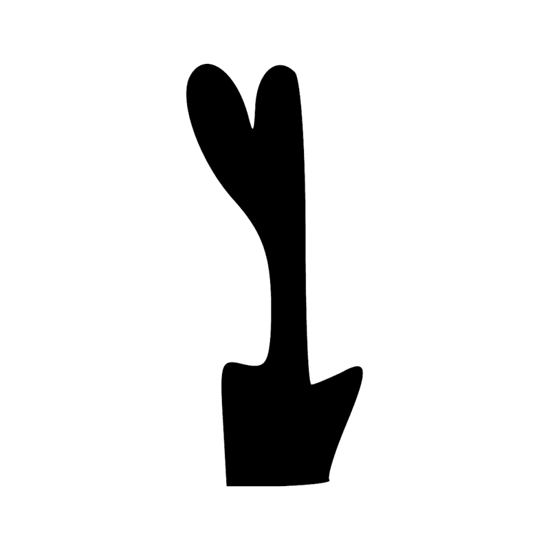 S43 — Bâton de marche