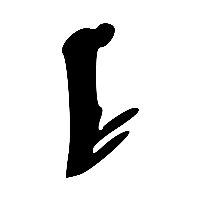 T19 — Tête de harpon en os